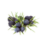 Juniper Berry