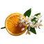 Orange Blossom