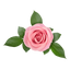 Ros